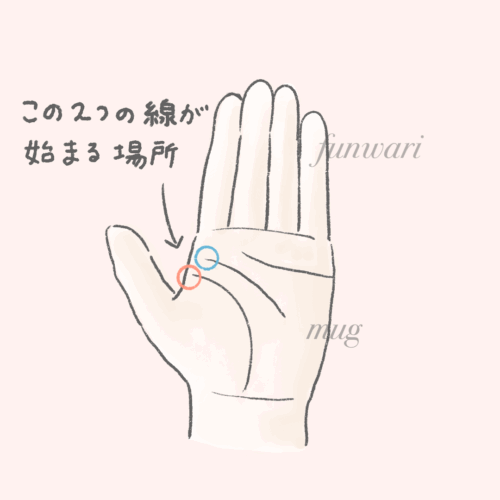 funwari mugが描いた離れ型の手相のイラストです